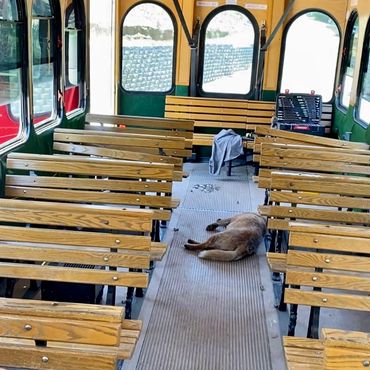 The original interior of the trolley - nothing but benches