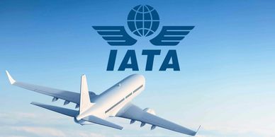 Airplane flying with IATA logo in the sky.