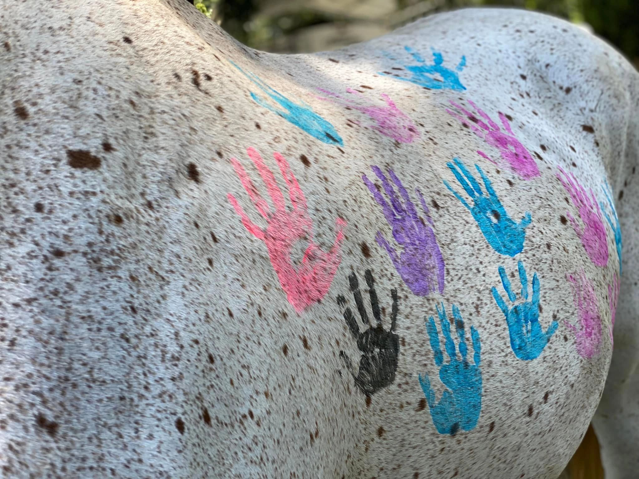 Therapeutic painted hand prints on the side of a horse!