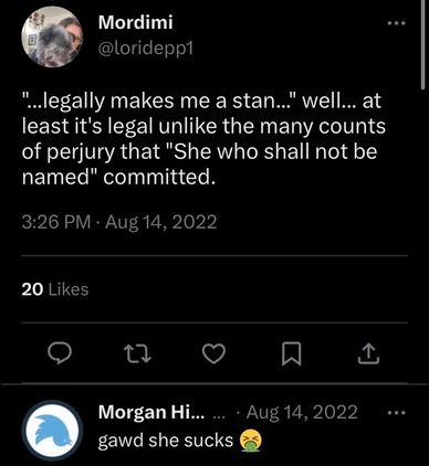 Johnny Depp's ex wife Lori joining in the Amber Heard hate with one of Depp's trial witnesses.