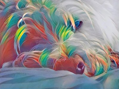Colorful artistic rendering of a sleeping dog with vibrant feather-like patterns.