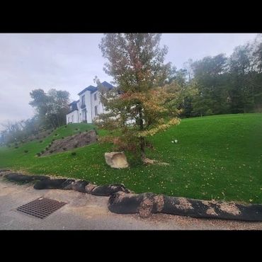 new lawn hydroseeded and erosion control