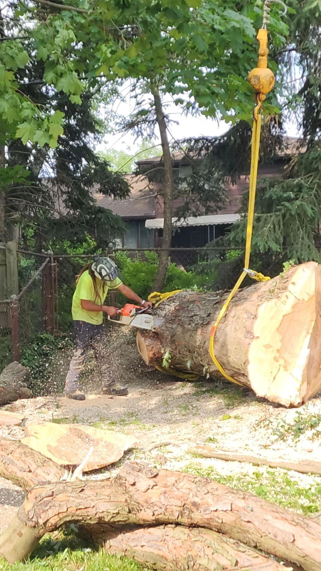 Worker cutting a large tree trunk with a chainsaw outdoors.