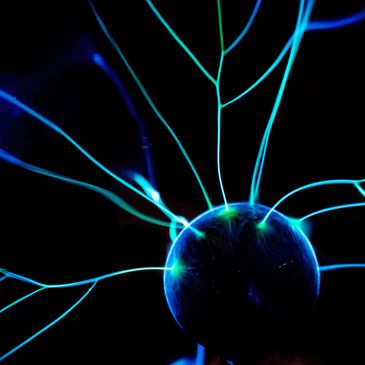 Nervous System