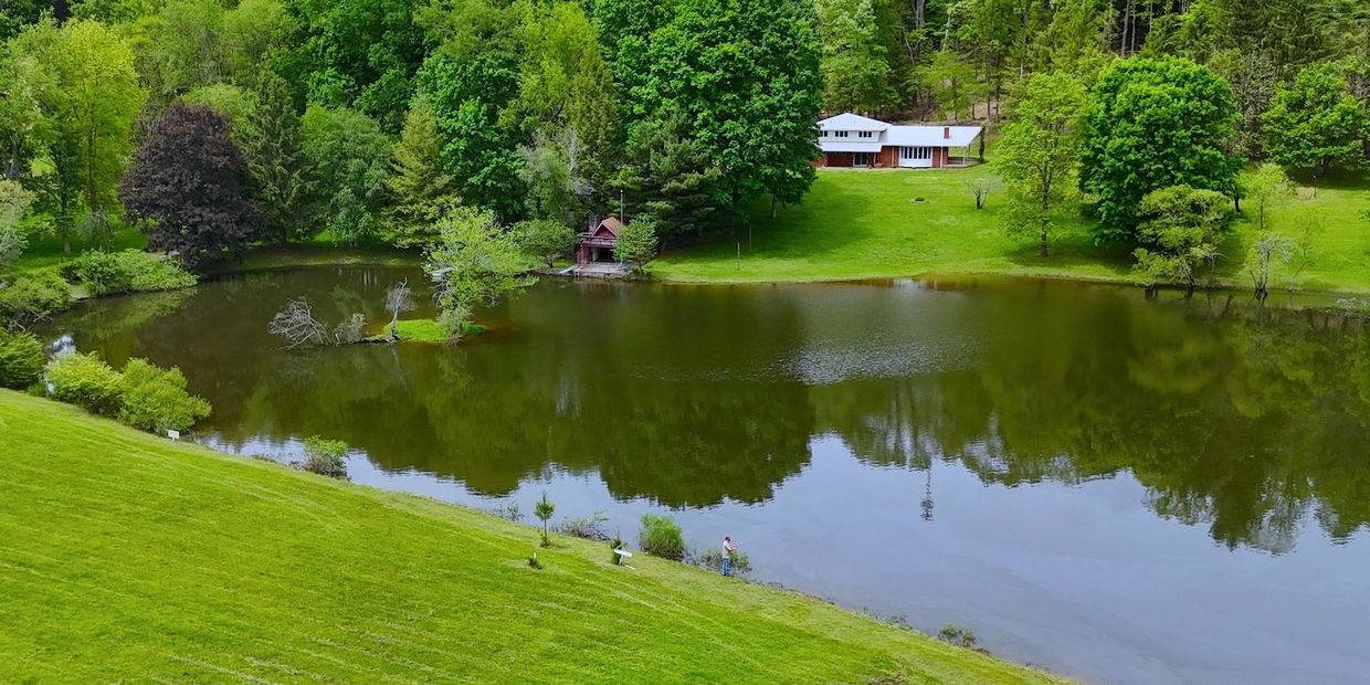 A peaceful lake surrounded by green trees and a house in the background.