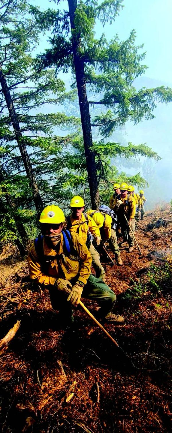 Members of the Department of Forestry and Fire work as a team
to build a fire break.