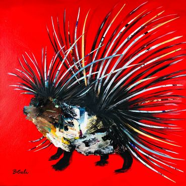 porcupine in a red background