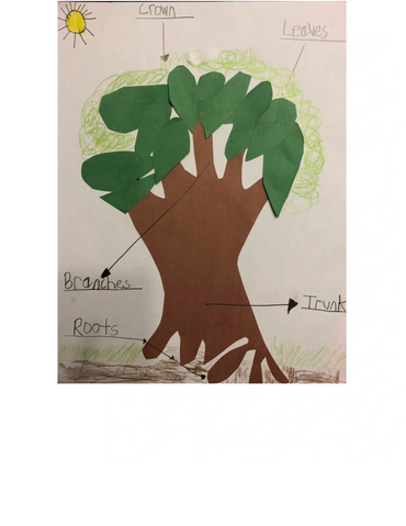 Diagram of a tree made with pieces of paper and crayons.
