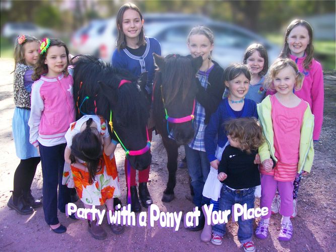 Party with a Pony at your Place
