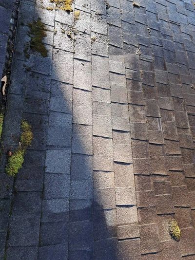 Clean roof in Augusta County, VA