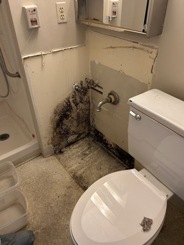 Black mold in bathroom
