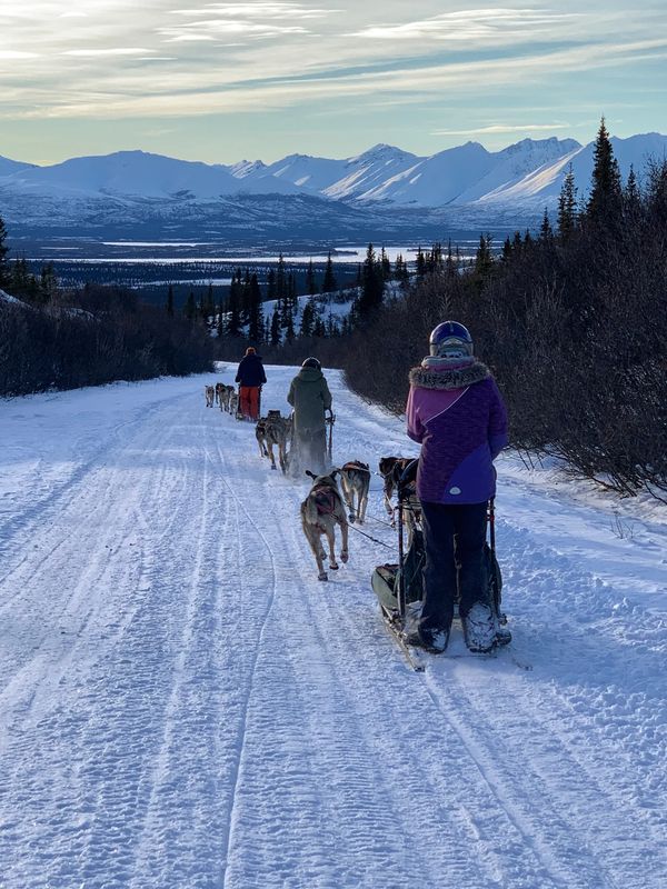 People dog sledding on a snowy trail with mountains in the background.