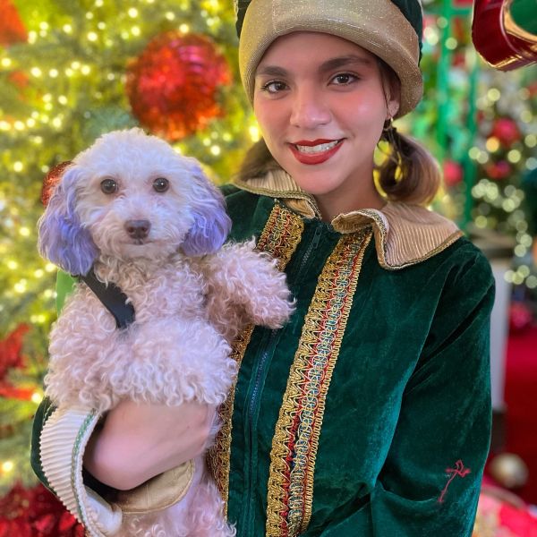 A woman in festive attire holds a small dog with purple ears in front of Christmas lights.