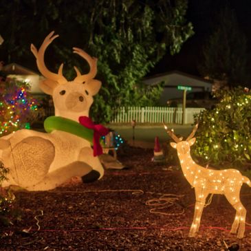 Christmas Displays