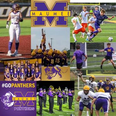 Collage showcasing Maumee Panthers sports teams and school spirit in purple and gold.