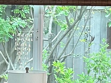 Woven wood shades in living room, Orange County