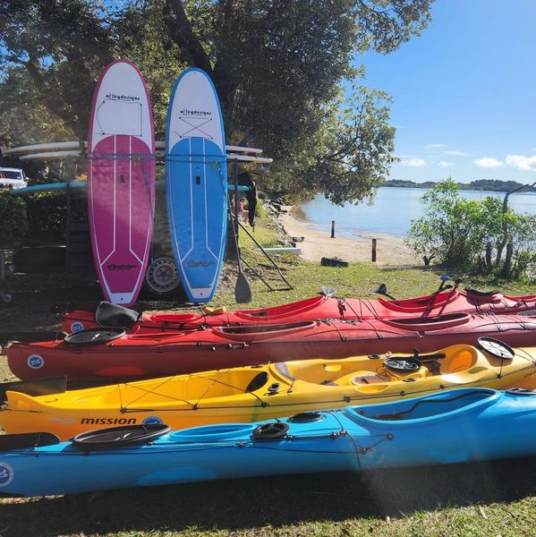 Colorful kayaks and paddleboards by the lakeside under a blue sky.