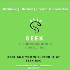 SEEK 
Business Solutions Consulting, LLC
