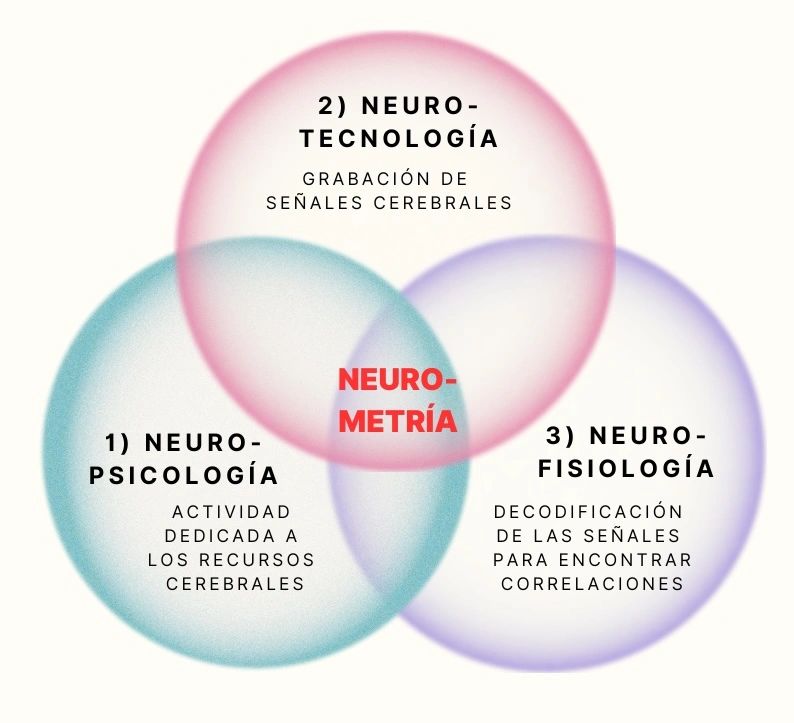 ¿Qué es la neurometría