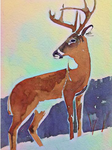 wildlife art