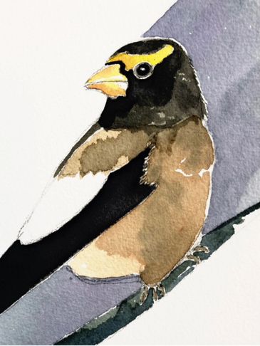 bird painting