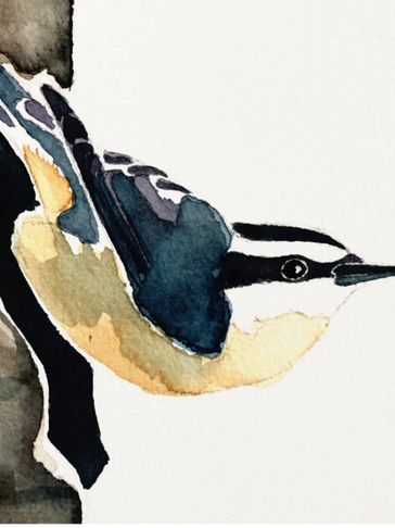 bird painting