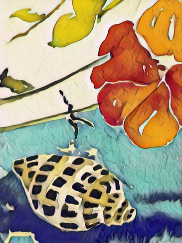 sea shells art