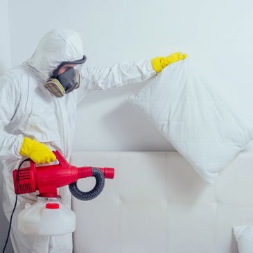 Bedbug Inspection and Treatment
