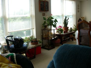 Living room inside a residential unit