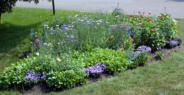 Flower gardens on the property