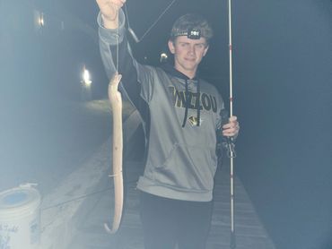 These eels swallow hooks so fast, you can rarely retrieve it without damaging the eel.