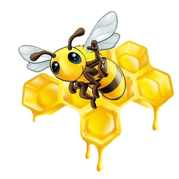 Cartoon bee on honeycomb with dripping honey.