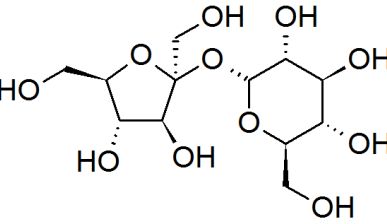 Sucrose Molecule