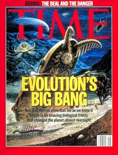 Time Cover Cambrian Explosion Punctuated Equilibrium Evolution