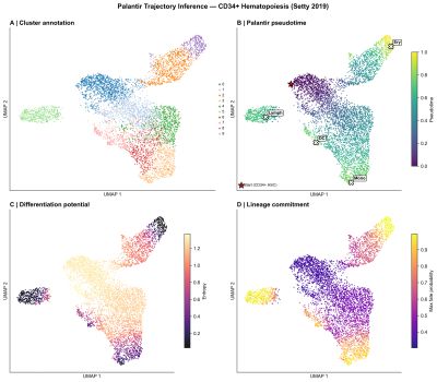 scRNA-seq Palantir trajectory: CD34+ hematopoiesis pseudotime (Setty 2019)