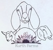 Kurth Farms