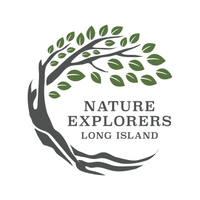 Nature Explorers LI