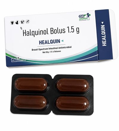 Halquinol Bolus 1.5 g veterinary antimicrobial medication.