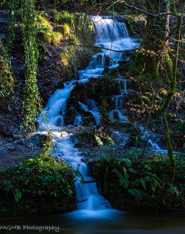 Woodland waterfall.