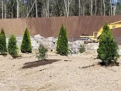 New Condo Complex, Tree & Shrub Planting for Natural Barrier was installed and Decorative plants