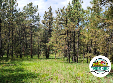 Timber Ridge Homestead LLC offers: Chicks, Eggs, Turkeys, Ducklings, Goslings and Boer Doelings/Buck