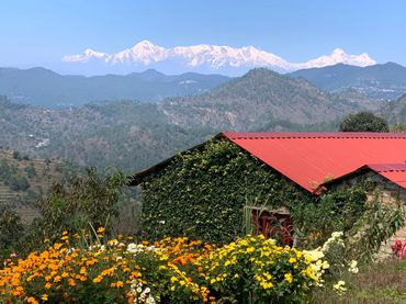 Itmenaan Estate near Binsar