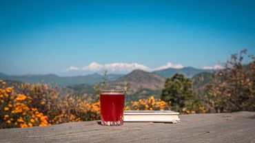 Itmenaan Estate, near Binsar