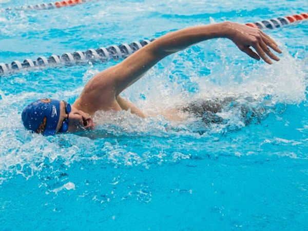 Fast swimmer in the water