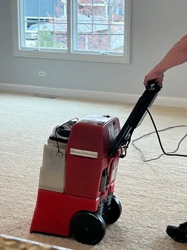 Professional carpet cleaning