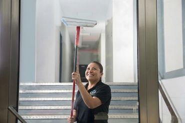 Professional Window Cleaning by Cruz Cleaning Service LLC in McHenry IL