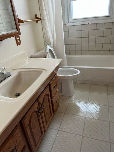 Professional Bathroom Cleaning