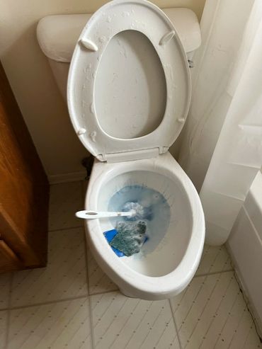 no toilet left uncleaned