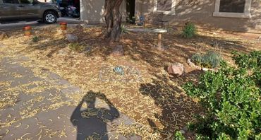 heavy debris removal