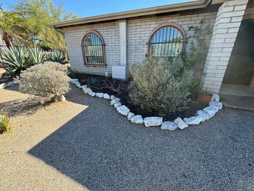 natural trimmed plants